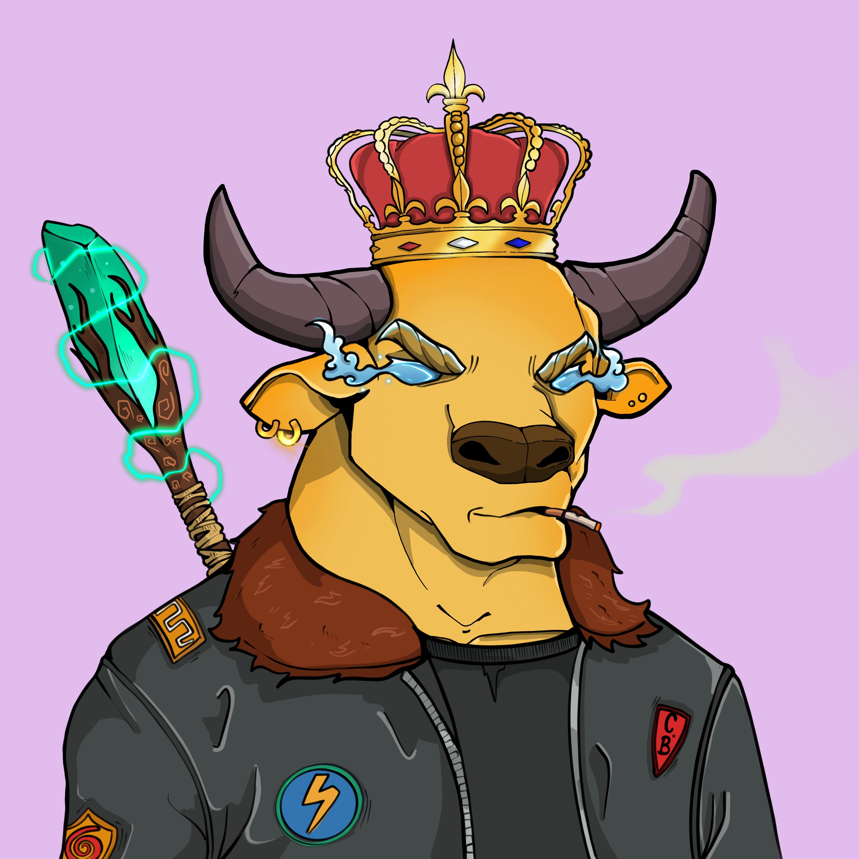 COOL BULLZ #1096