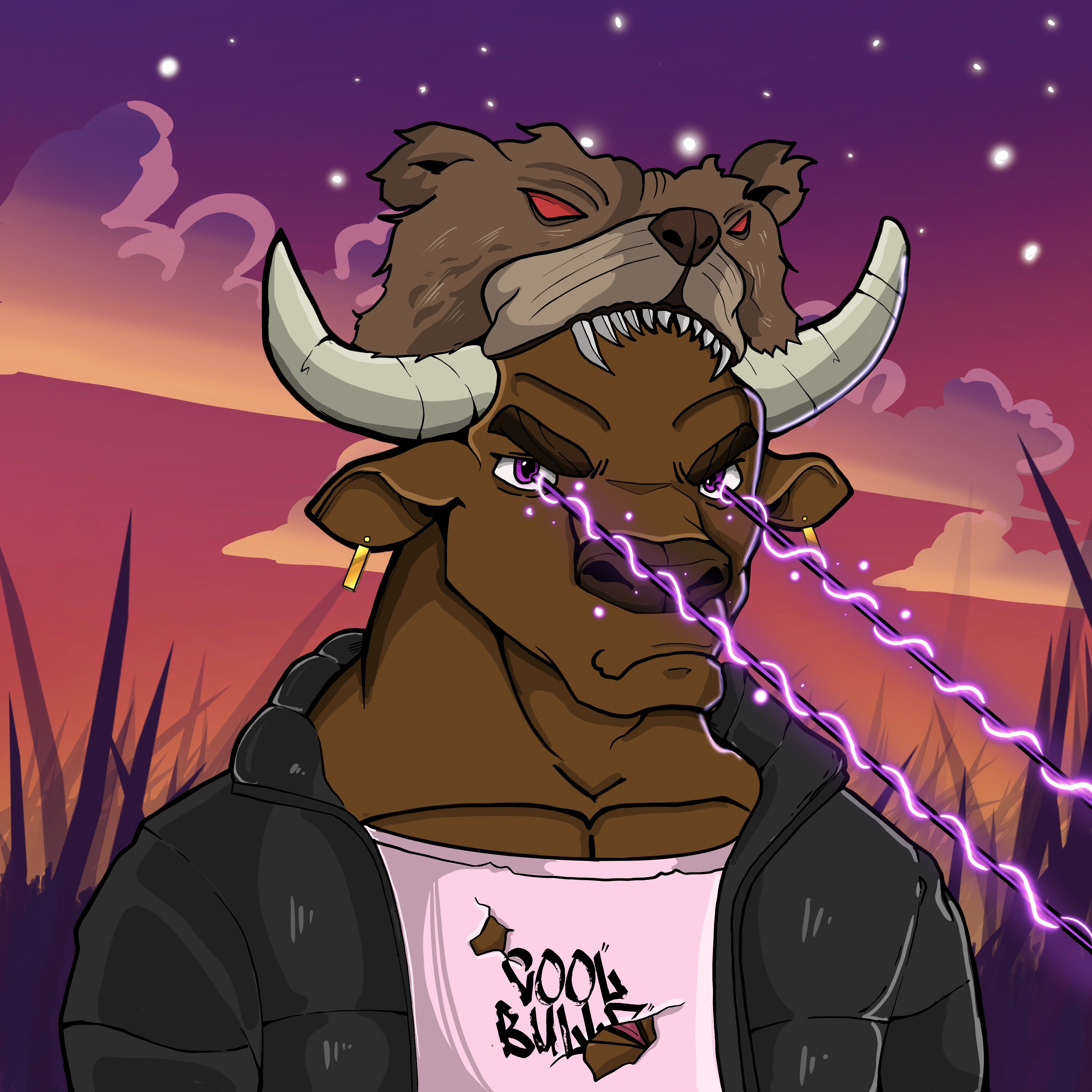 COOL BULLZ #1133