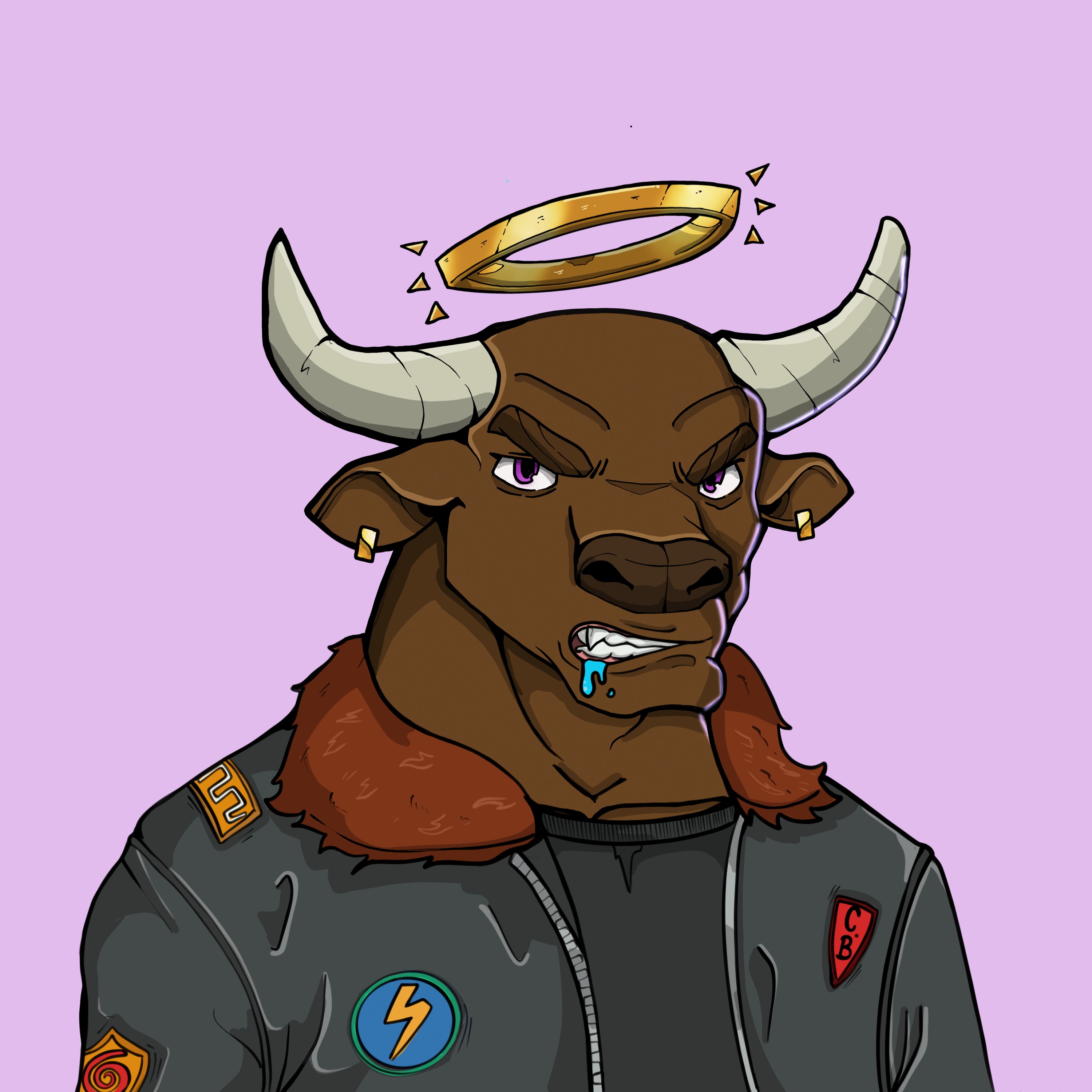 COOL BULLZ #1171