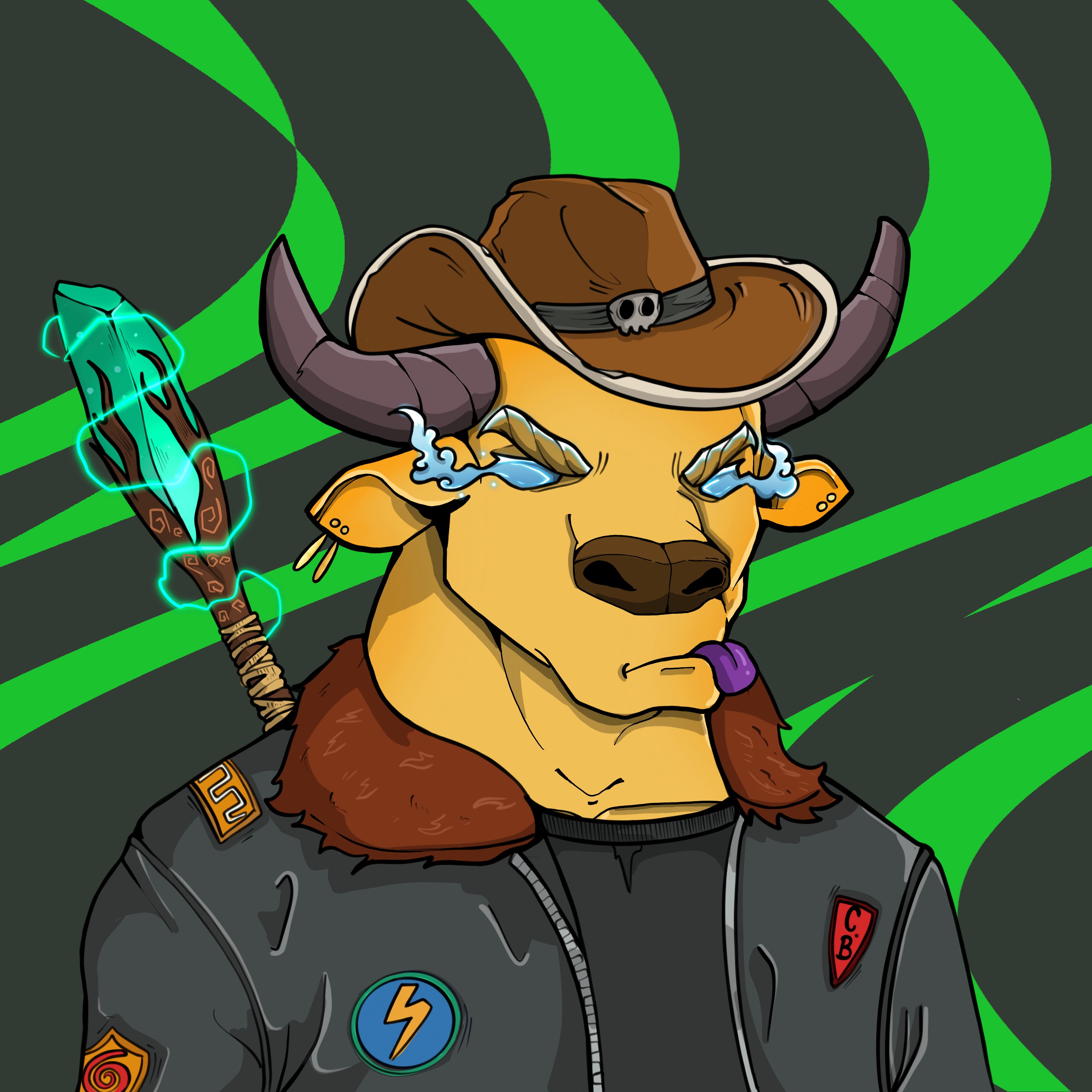 COOL BULLZ #1245