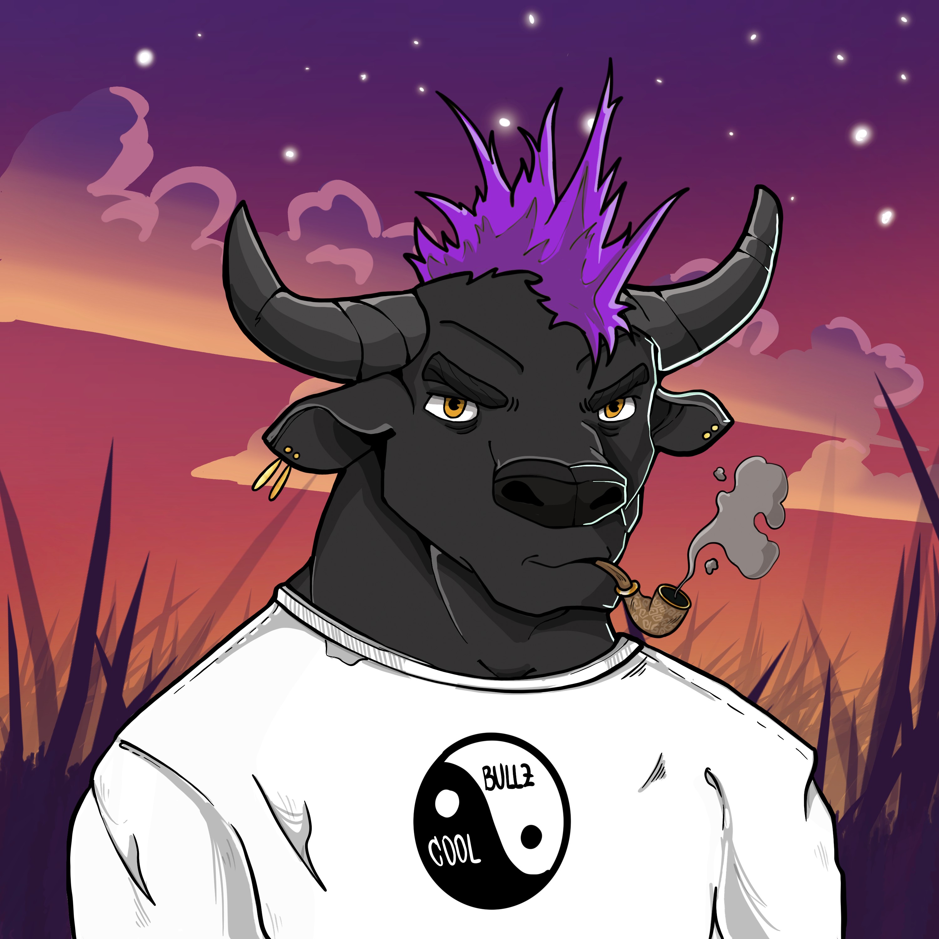 COOL BULLZ #1272