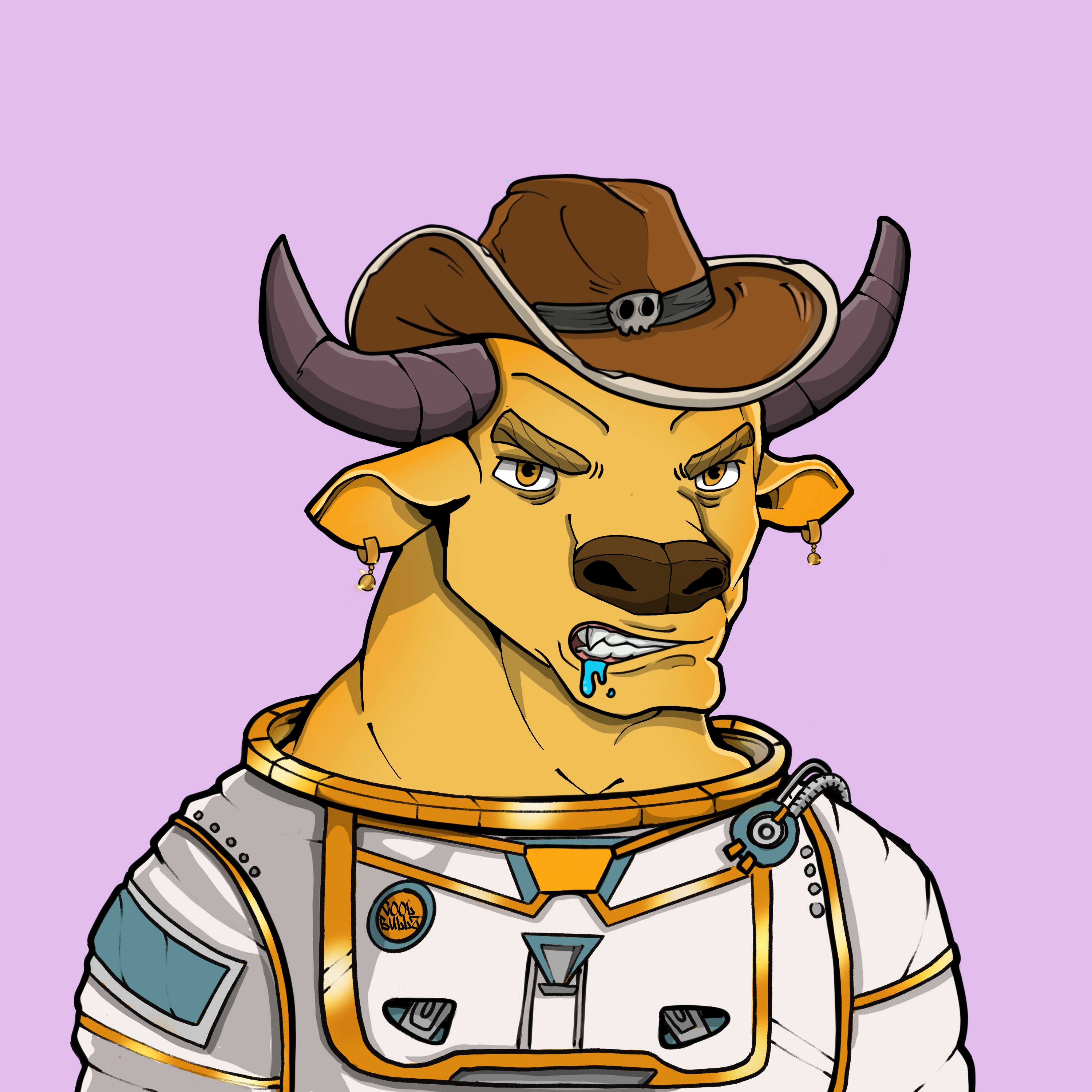 COOL BULLZ #1336