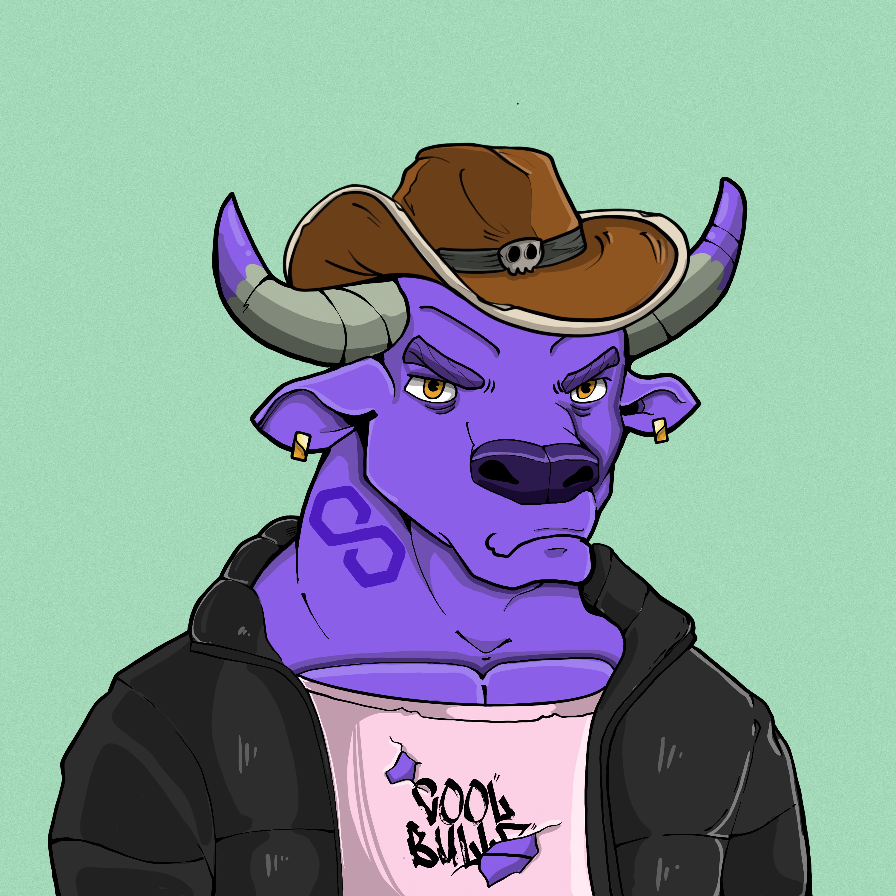 COOL BULLZ #1415