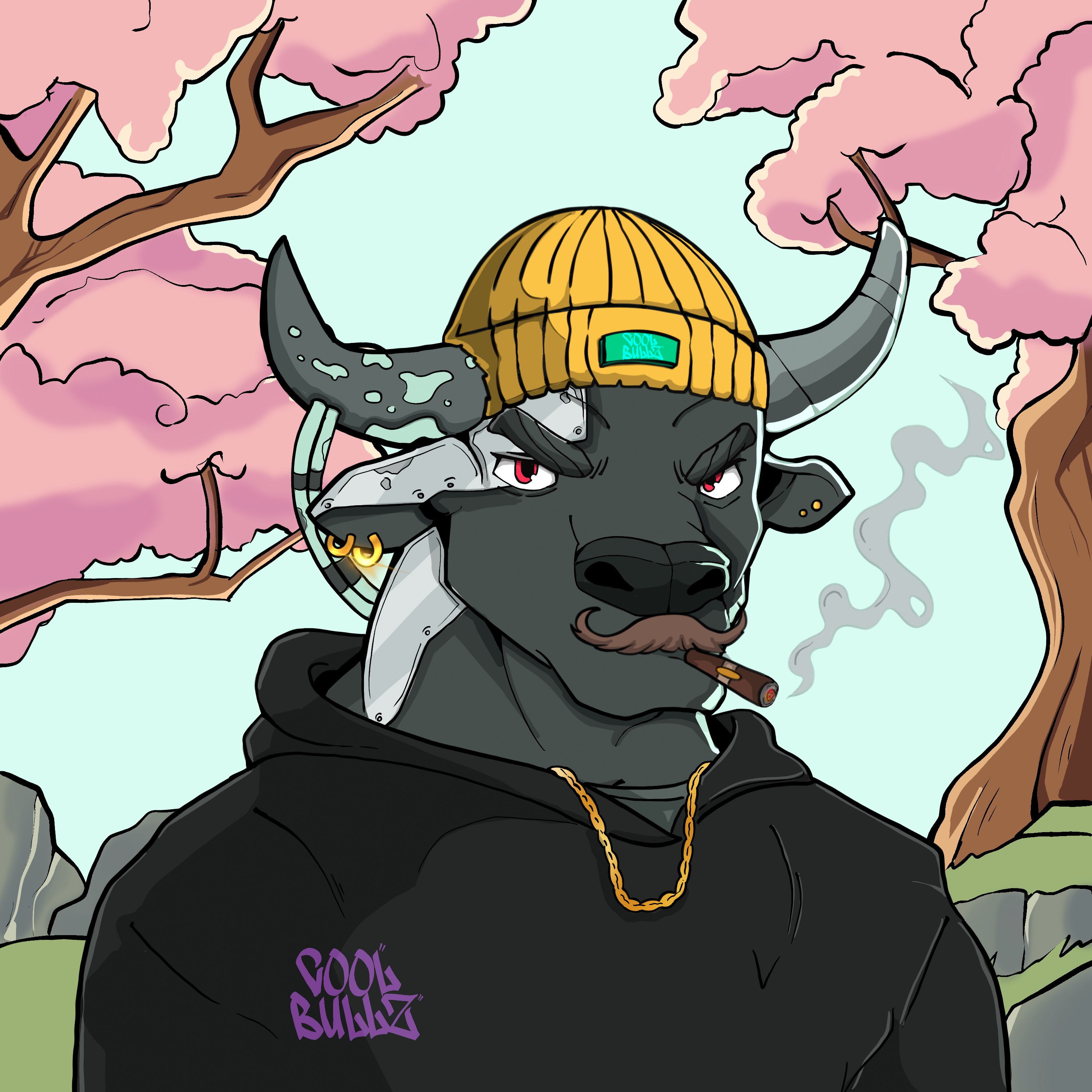 COOL BULLZ #1430