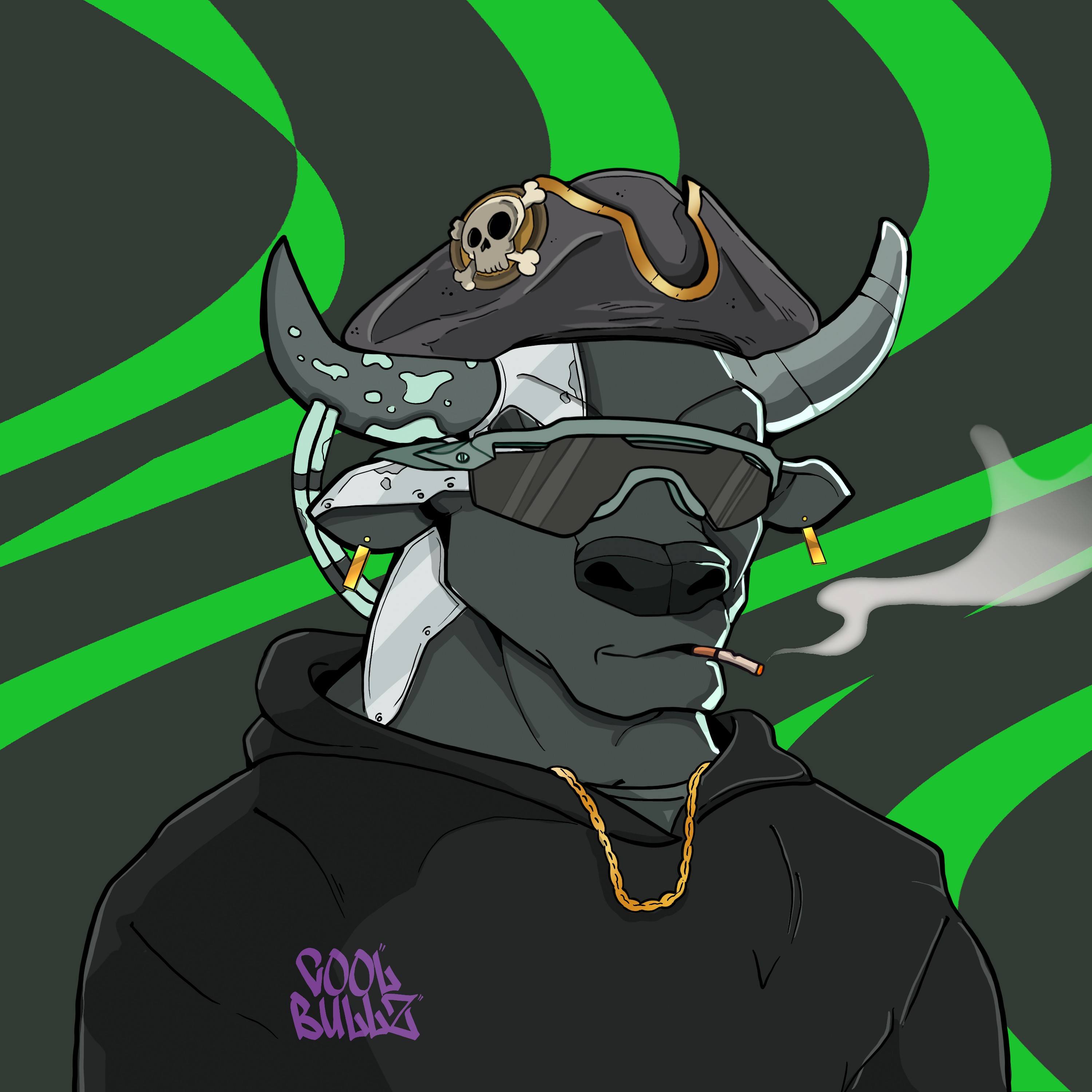 COOL BULLZ #1453