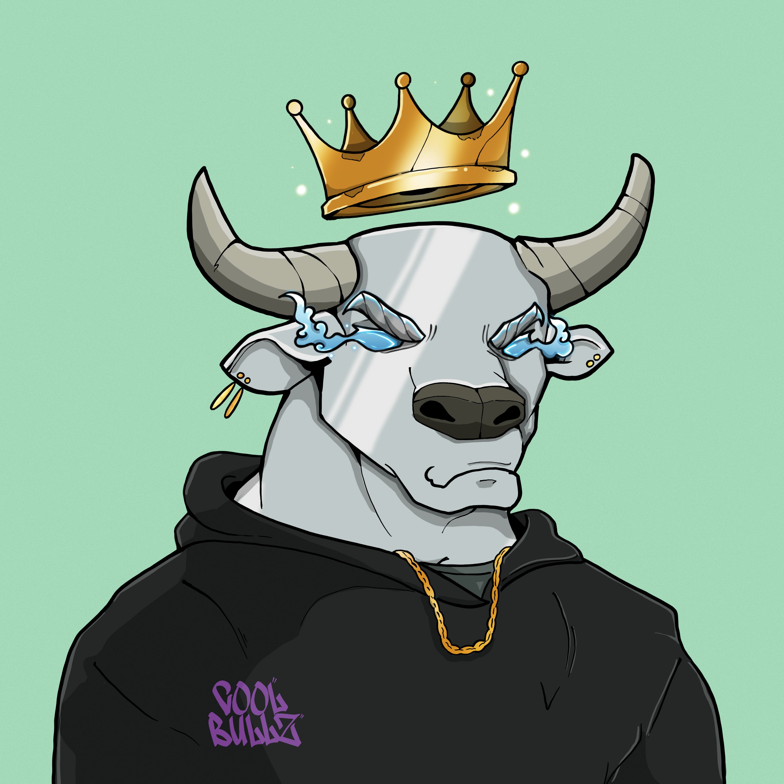 COOL BULLZ #1648