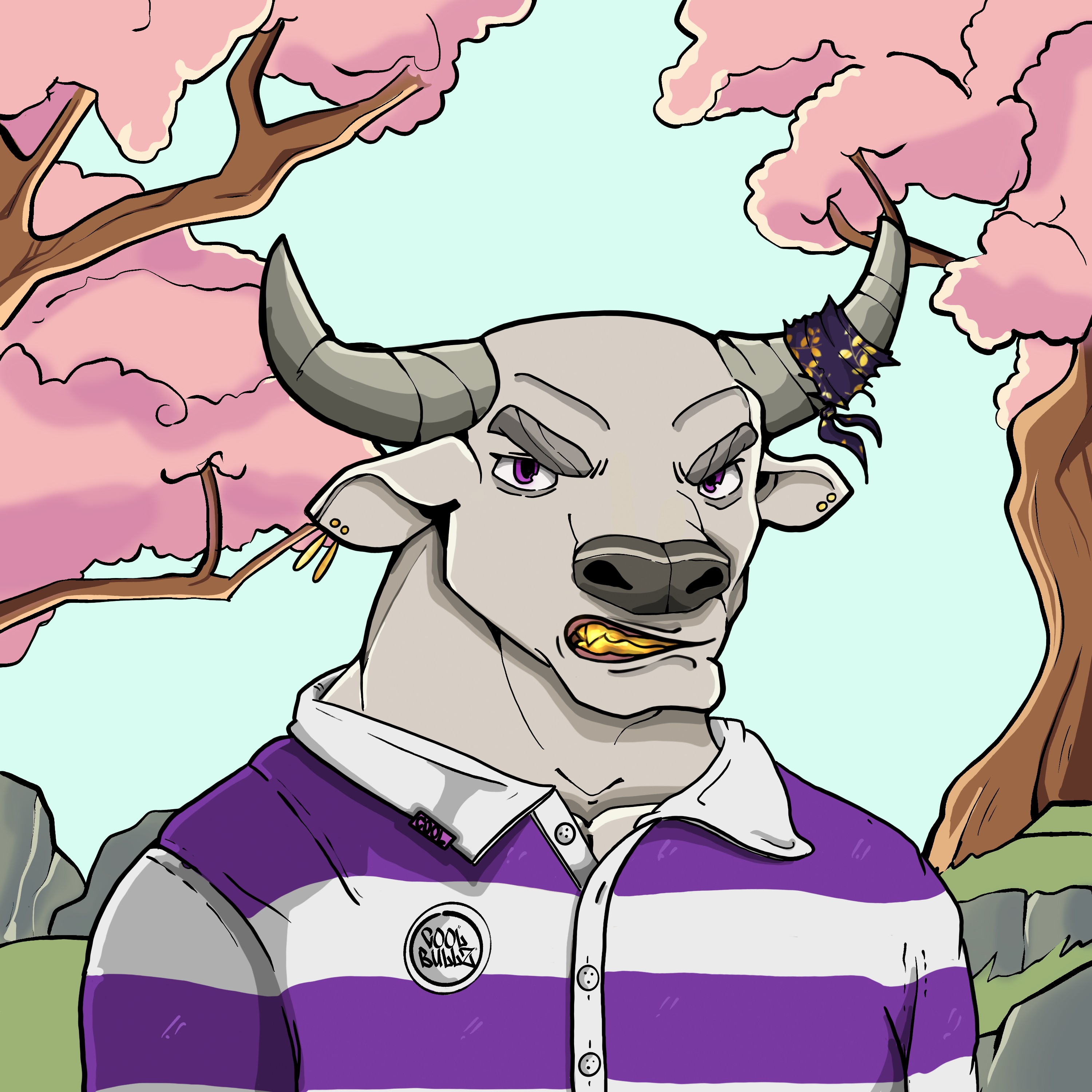 COOL BULLZ #1720