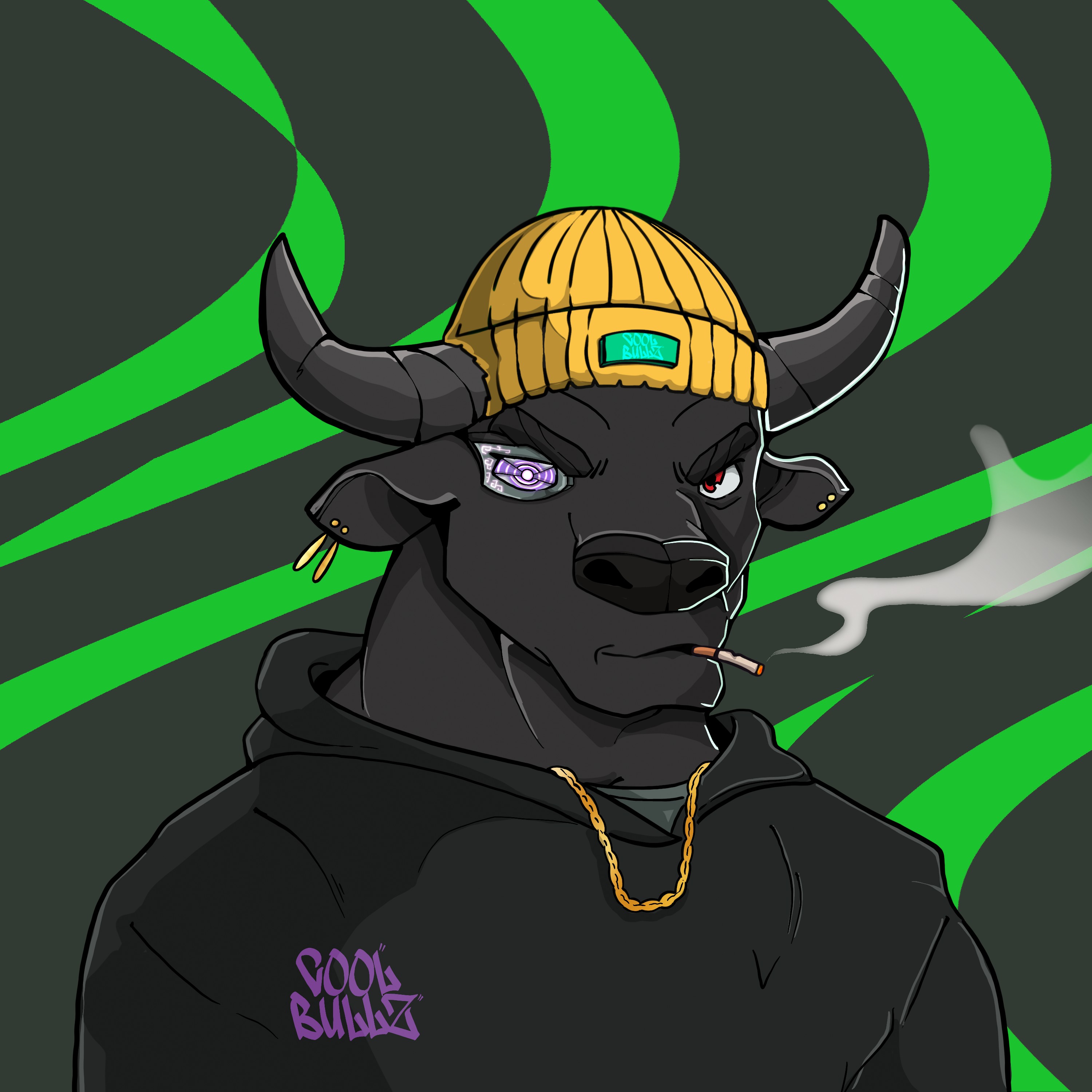 COOL BULLZ #1733