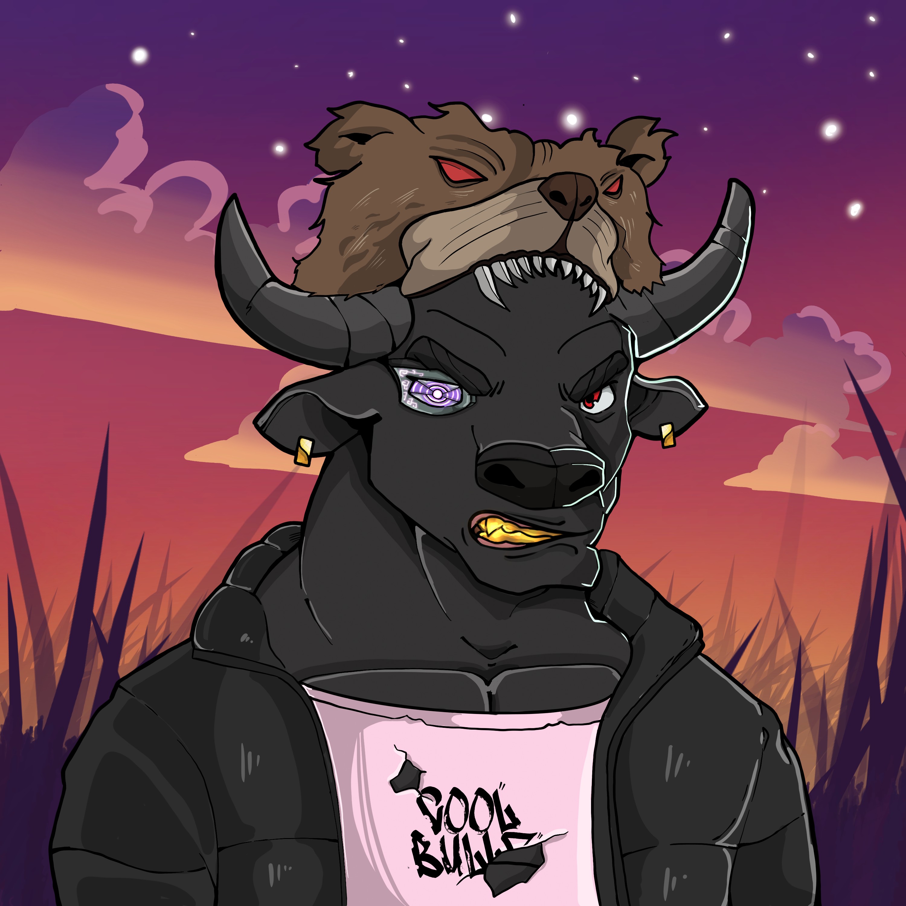 COOL BULLZ #1793