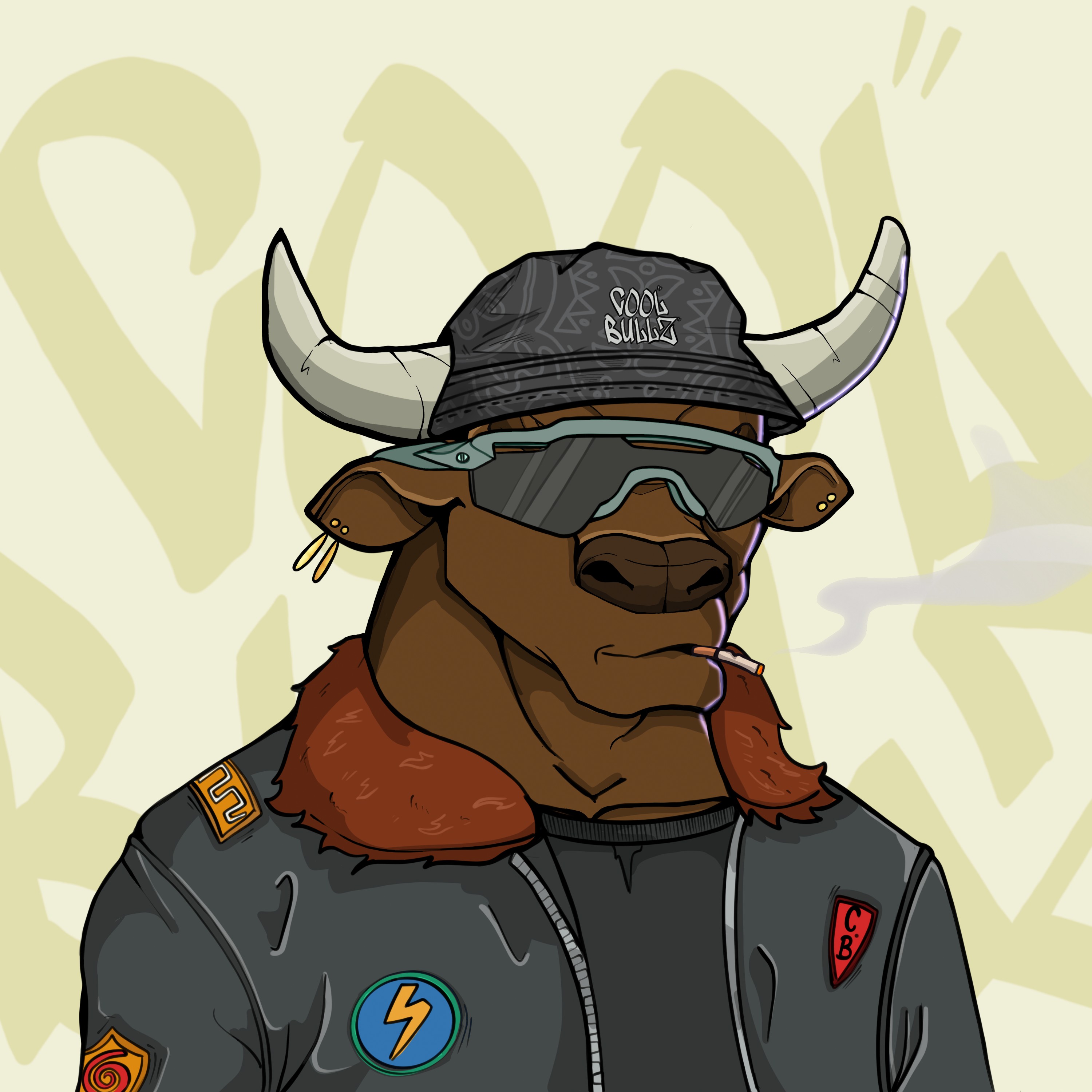 COOL BULLZ #1807