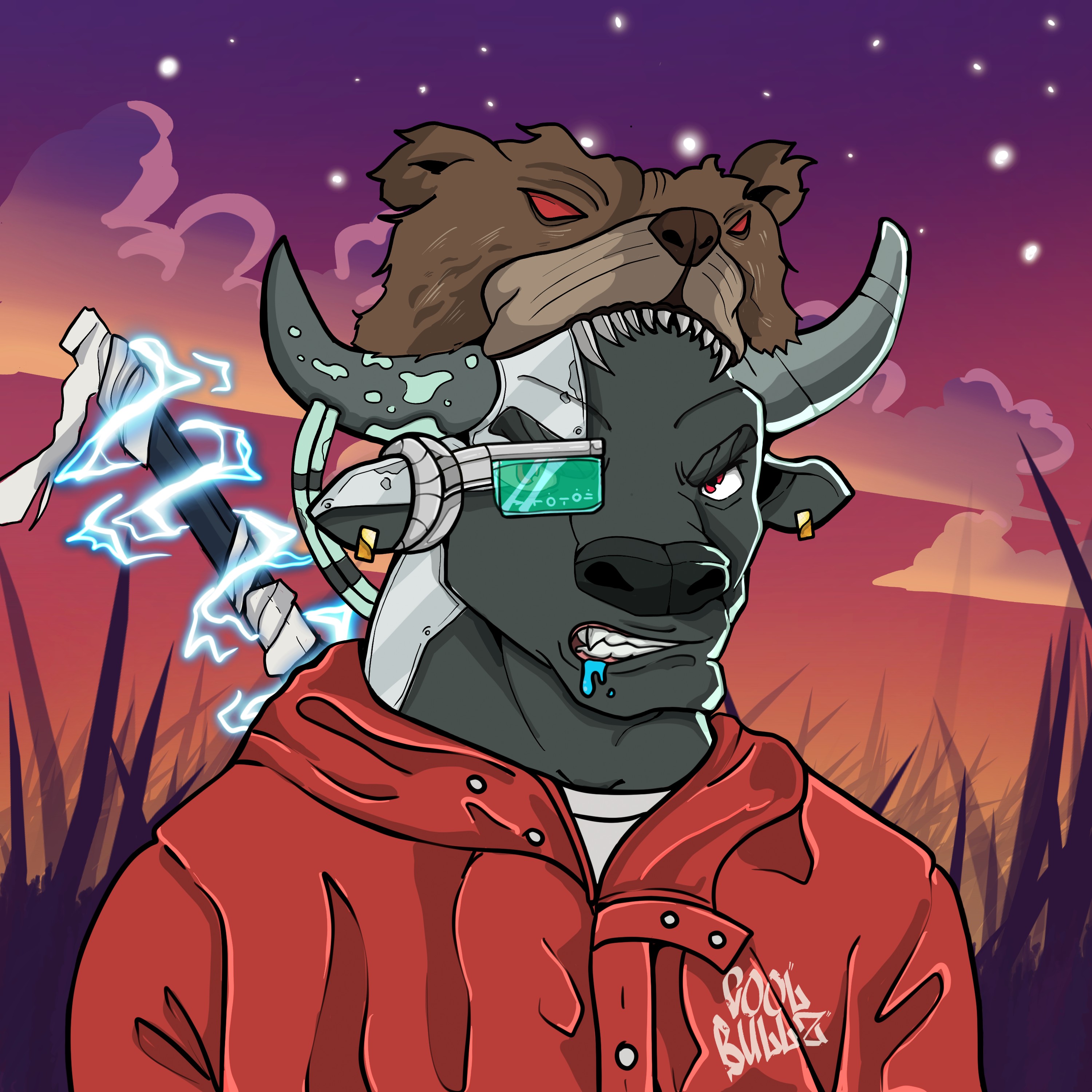 COOL BULLZ #1815