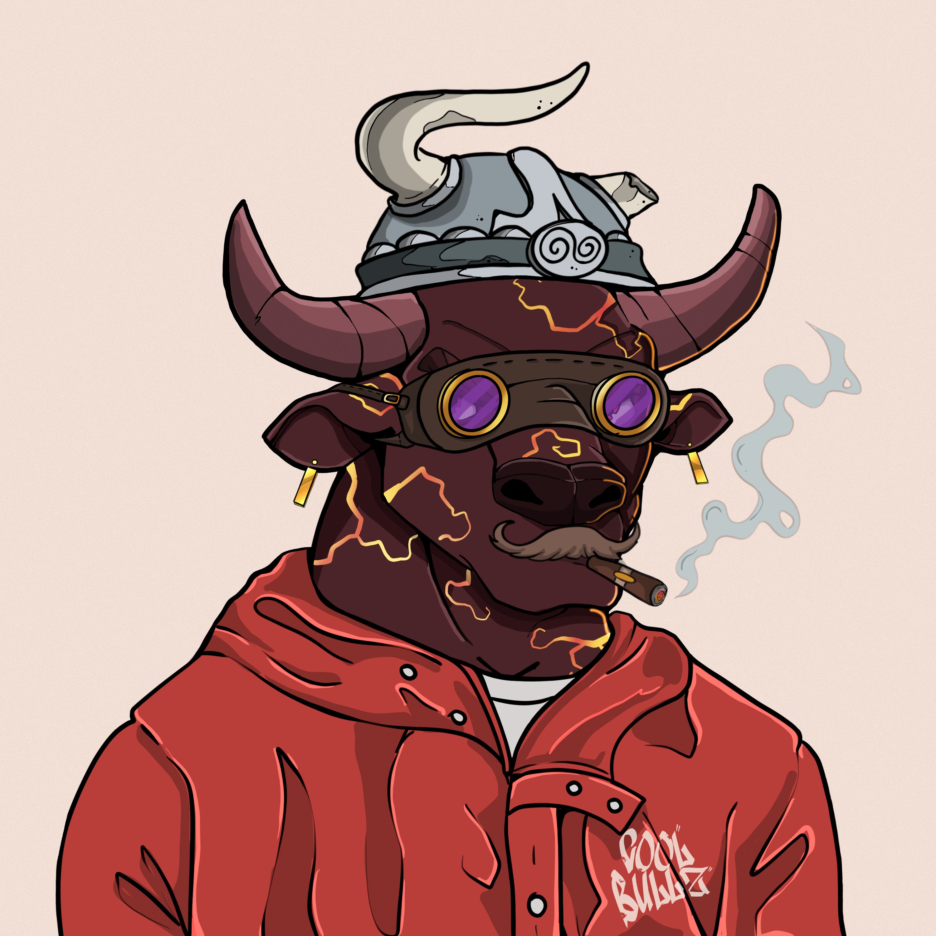 COOL BULLZ #501