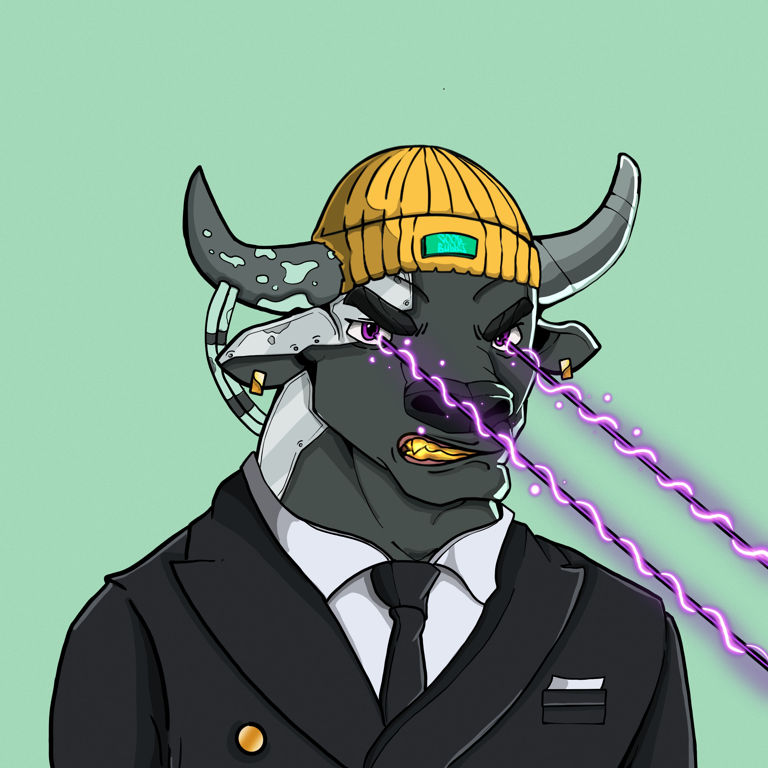 COOL BULLZ #567