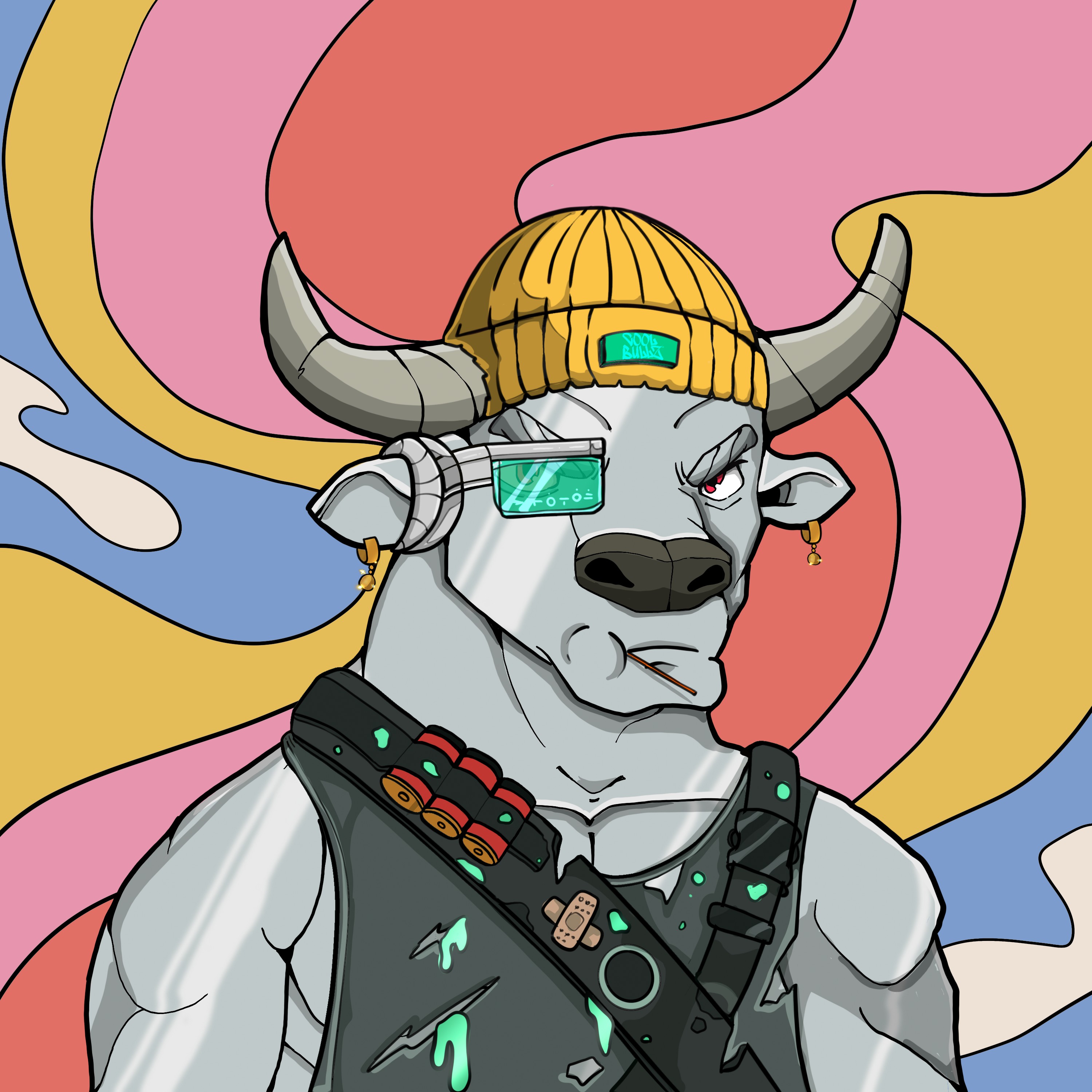 COOL BULLZ #639