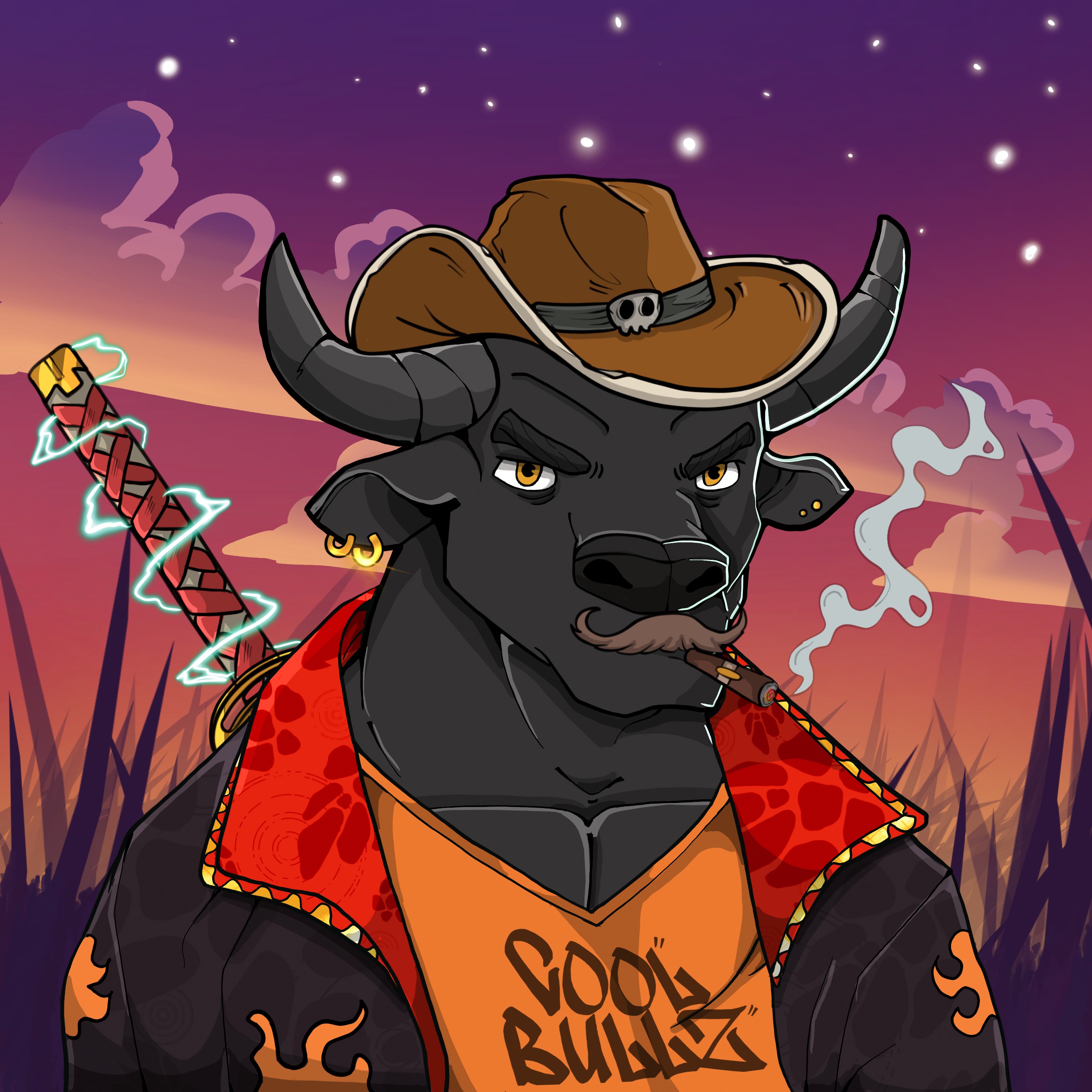 COOL BULLZ #670