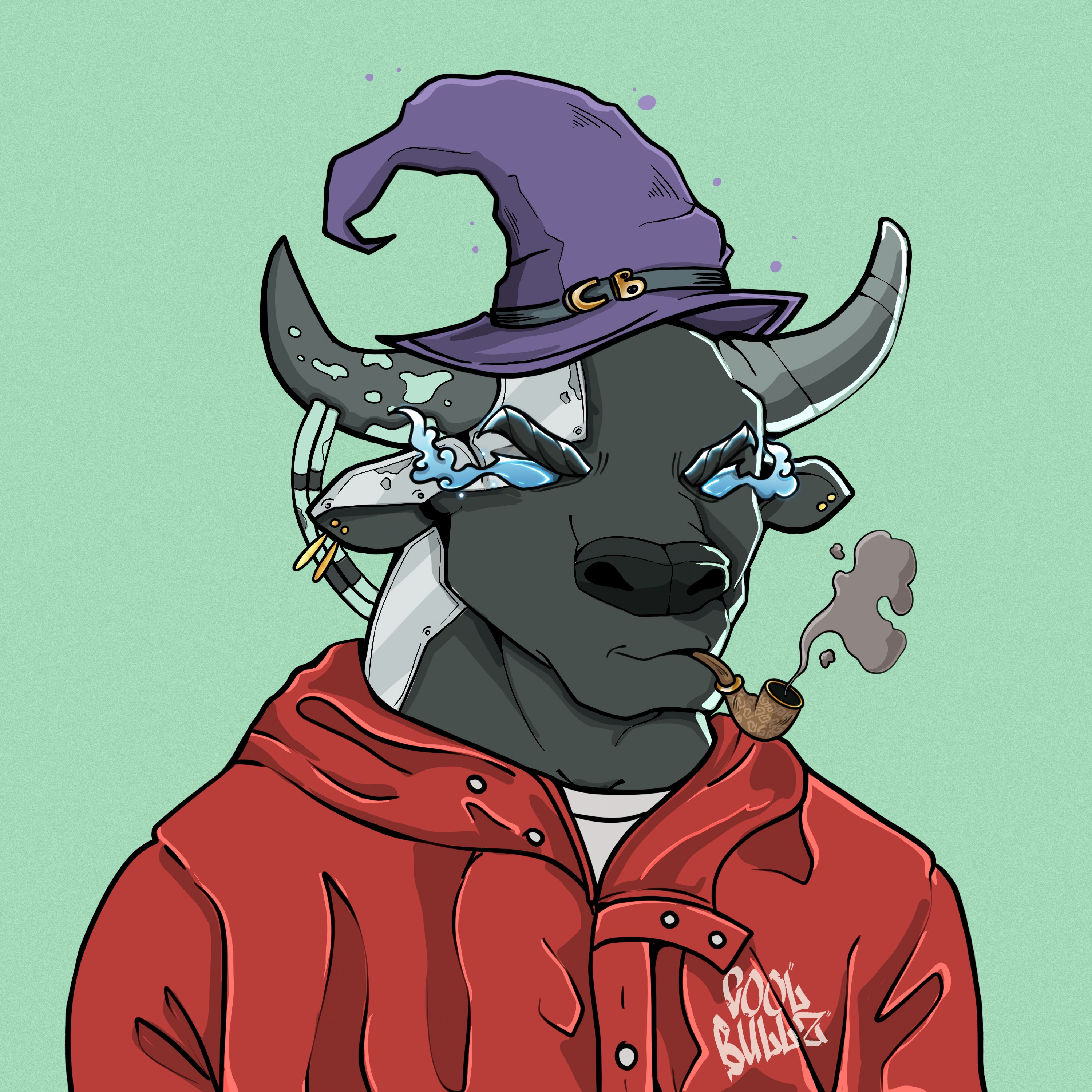 COOL BULLZ #845