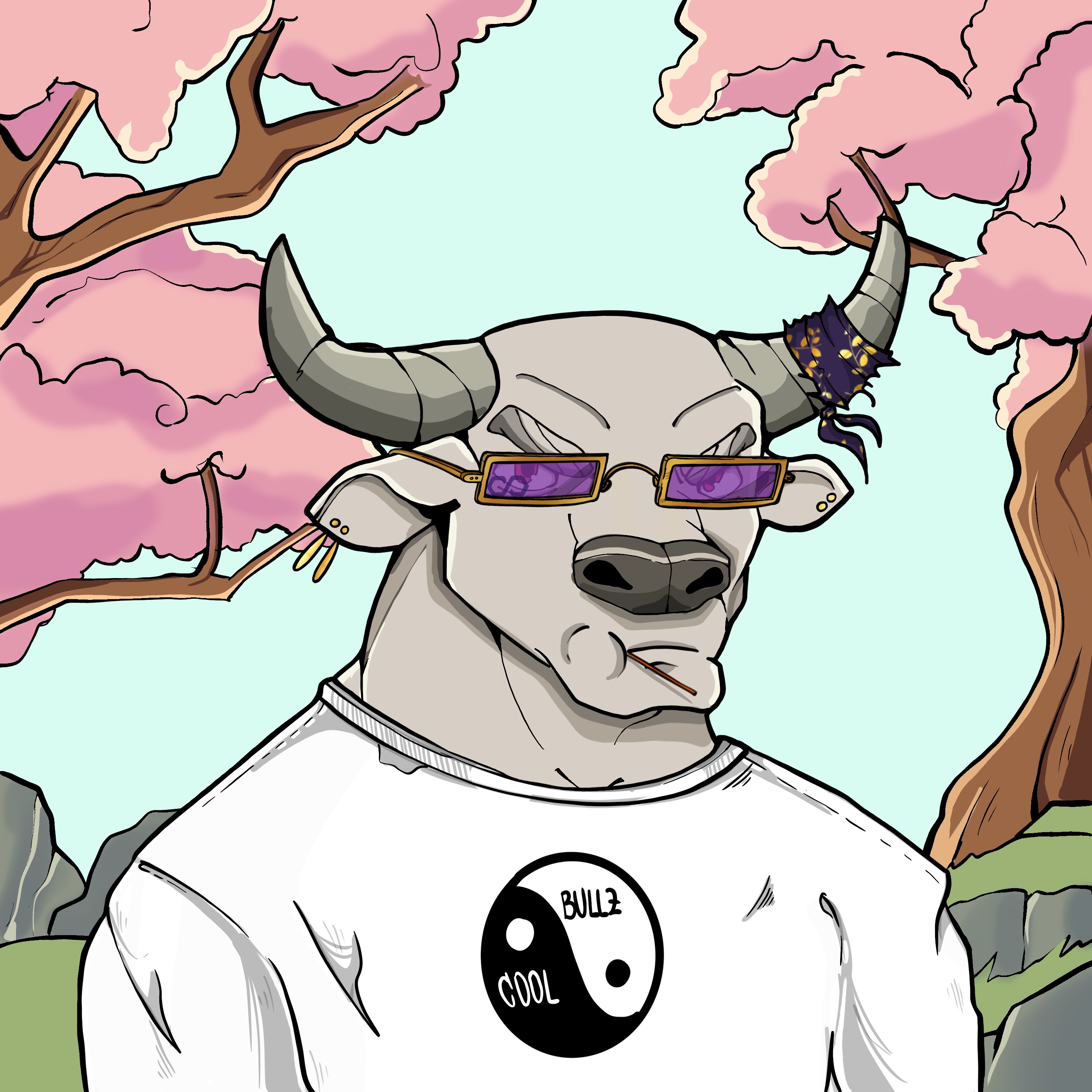 COOL BULLZ #858